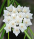 Product image thumbnail 3