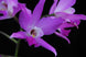 Product image thumbnail 2