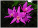 Product image thumbnail 4