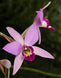 Product image thumbnail 3