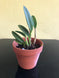 Product image thumbnail 5