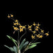 Product image thumbnail 3