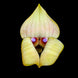 Product image thumbnail 2