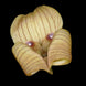 Product image thumbnail 1