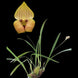 Product image thumbnail 3