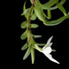 Product image thumbnail 2