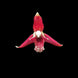 Product image thumbnail 3