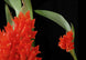 Product image thumbnail 3
