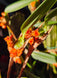 Product image thumbnail 5
