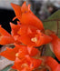 Product image thumbnail 1