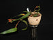Product image thumbnail 7