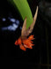 Product image thumbnail 4