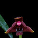 Product image thumbnail 1