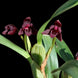 Product image thumbnail 2