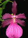 Product image thumbnail 3