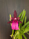 Product image thumbnail 6