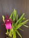 Product image thumbnail 5
