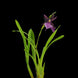 Product image thumbnail 4