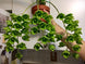 Product image thumbnail 3