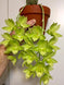 Product image thumbnail 5