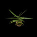 Product image thumbnail 4
