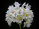Product image thumbnail 2