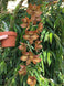 Product image thumbnail 8