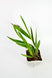 Product image thumbnail 5