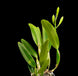Product image thumbnail 2
