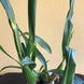 Product image thumbnail 4