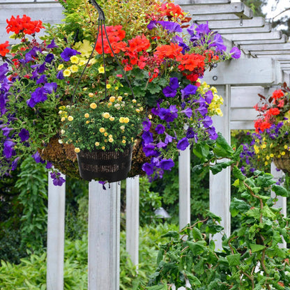 hanging planter for orchids Orchids Supplies: Pot Hanging Flower Pots, Breathable Mesh Net Hanging – La Foresta Orchids