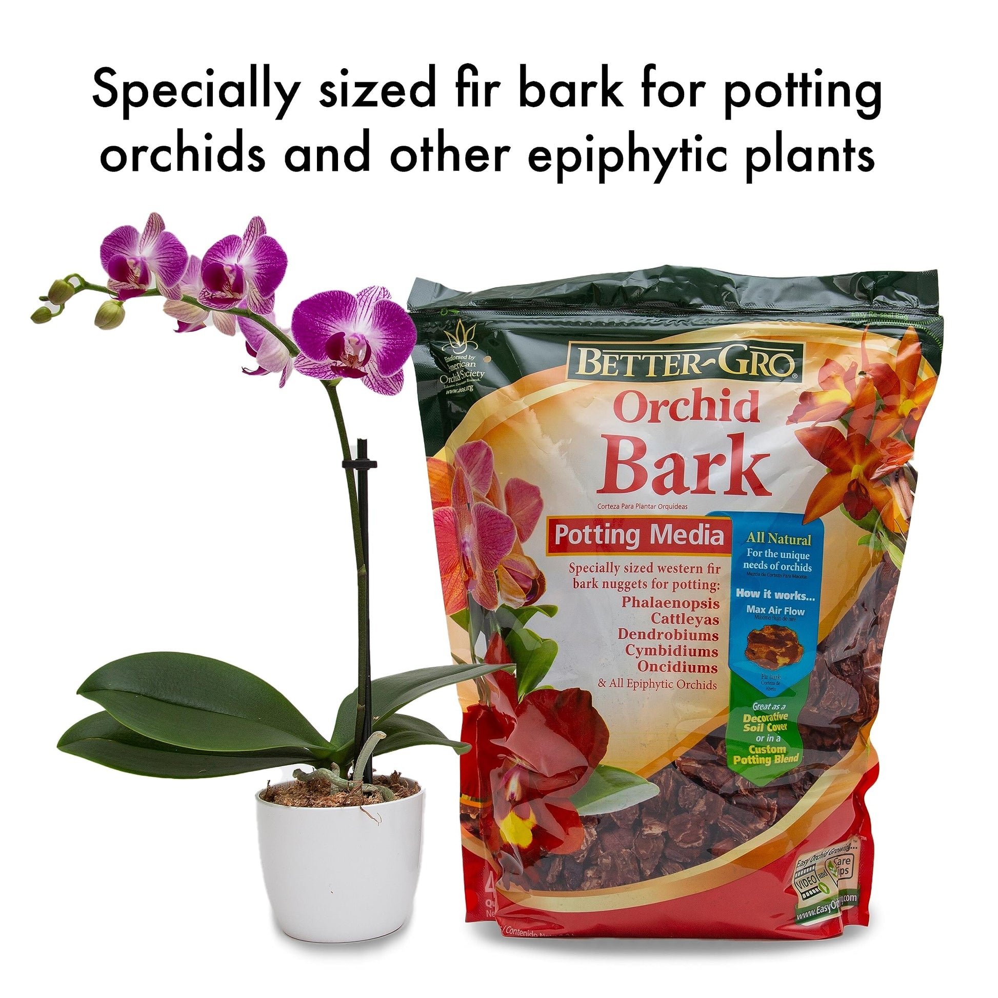amazon orchid potting mix Orchids Supplies: Orchid Bark, Endorsed by American Orchid Society