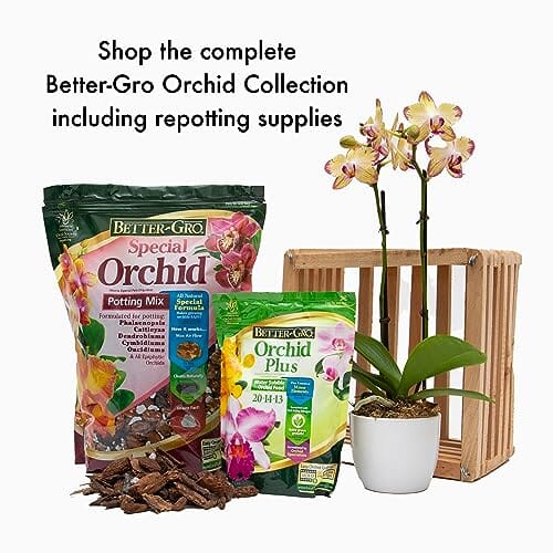 good orchid potting mix Orchids Supplies: Orchid Mix Special Orchid