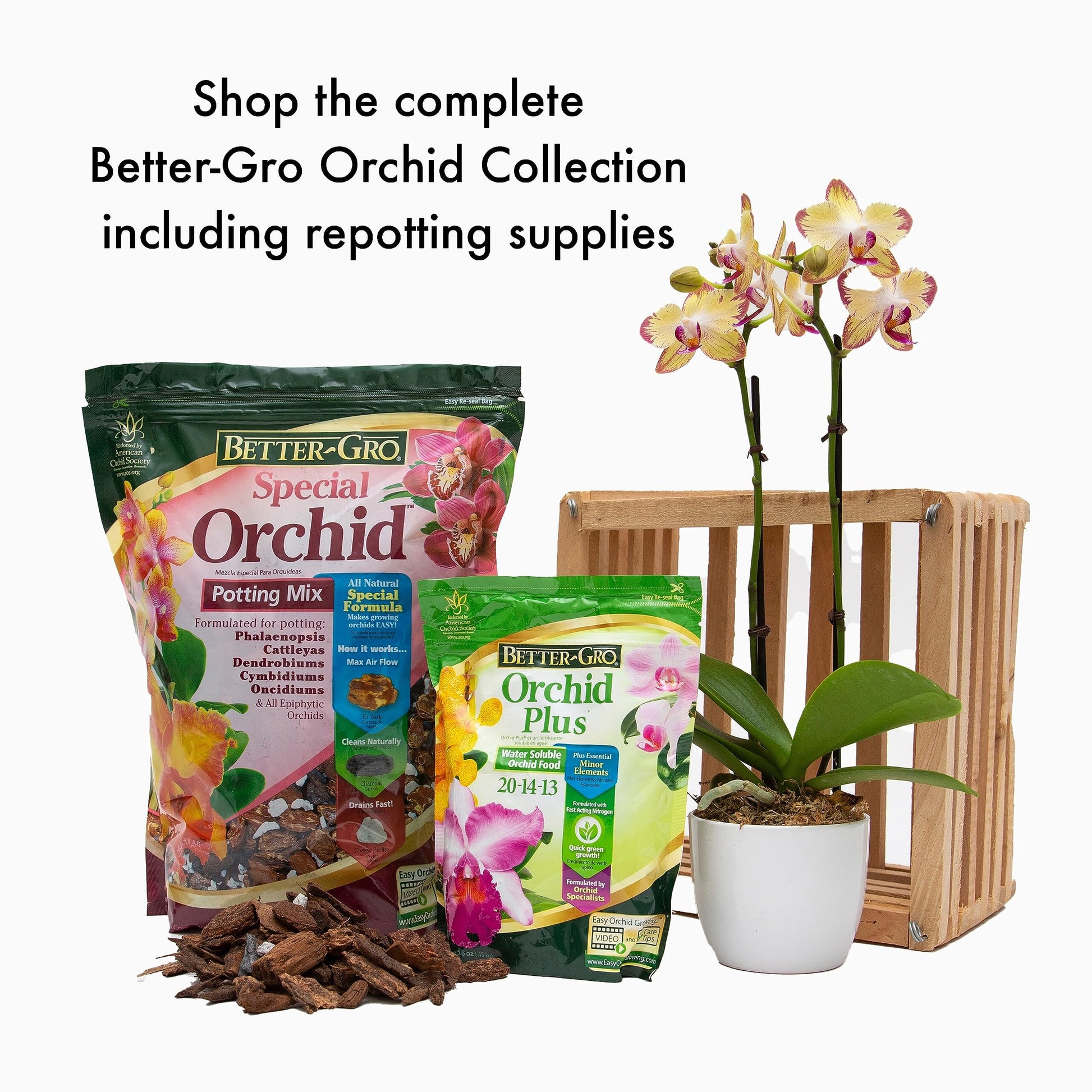 orchid phalaenopsis potting mix Orchids Supplies: Orchid Mix Special Orchid