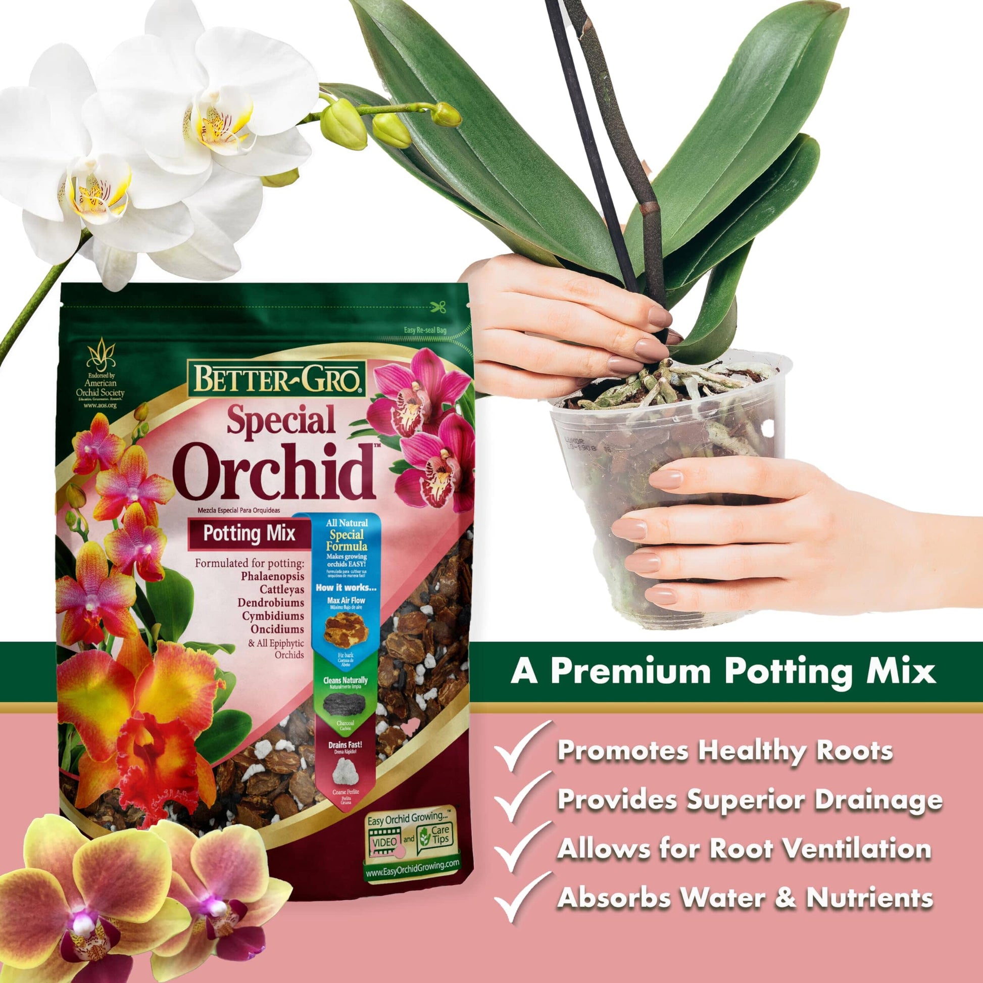 potting mix for phalaenopsis orchids Orchids Supplies: Orchid Mix Special Orchid