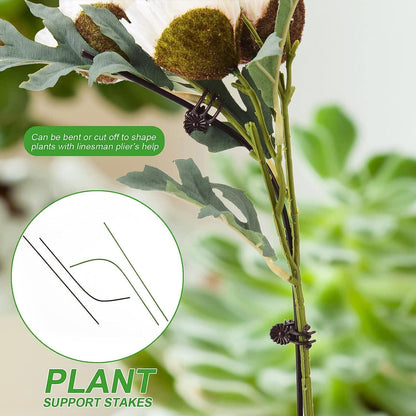 Orchids Supplies: Pot Stakes - Garden Metal Plant Stakes 10PCS with Vine Fixing Clip Set, 15PCS - 24inch Tall Supplies Amazon 