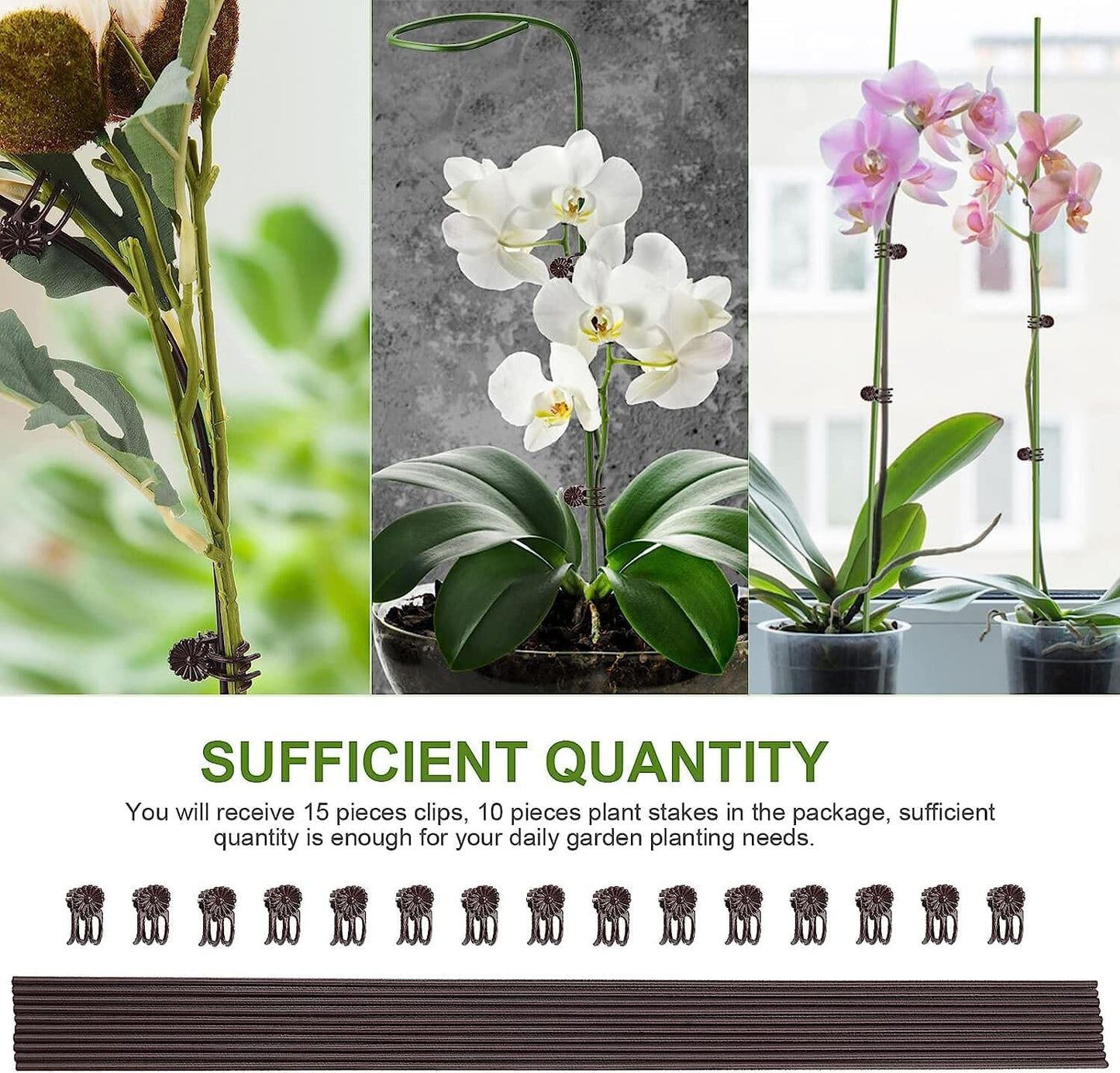 Orchids Supplies: Pot Stakes - Garden Metal Plant Stakes 10PCS with Vine Fixing Clip Set, 15PCS - 24inch Tall Supplies Amazon 