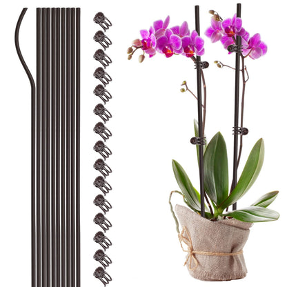 Orchids Supplies: Pot Stakes - Garden Metal Plant Stakes 10PCS with Vine Fixing Clip Set, 15PCS - 24inch Tall Supplies Amazon Brown 40cm 