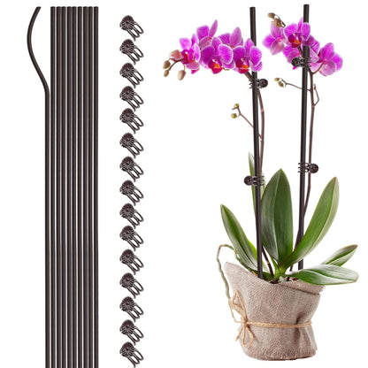 Orchids Supplies: Pot Stakes - Garden Metal Plant Stakes 10PCS with Vine Fixing Clip Set, 15PCS - 24inch Tall Supplies Amazon Brown 60cm 