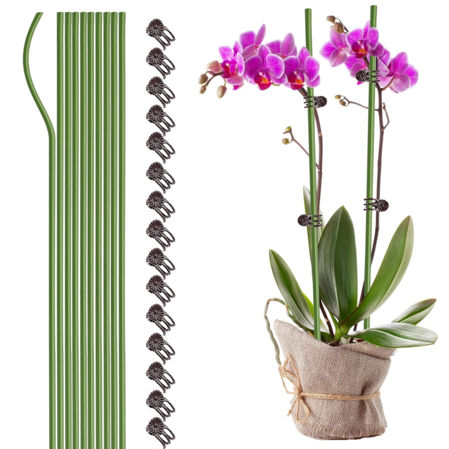 Orchids Supplies: Pot Stakes - Garden Metal Plant Stakes 10PCS with Vine Fixing Clip Set, 15PCS - 24inch Tall Supplies Amazon Green 40cm 