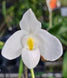 Product image thumbnail 5