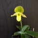 Product image thumbnail 8