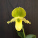 Product image thumbnail 9