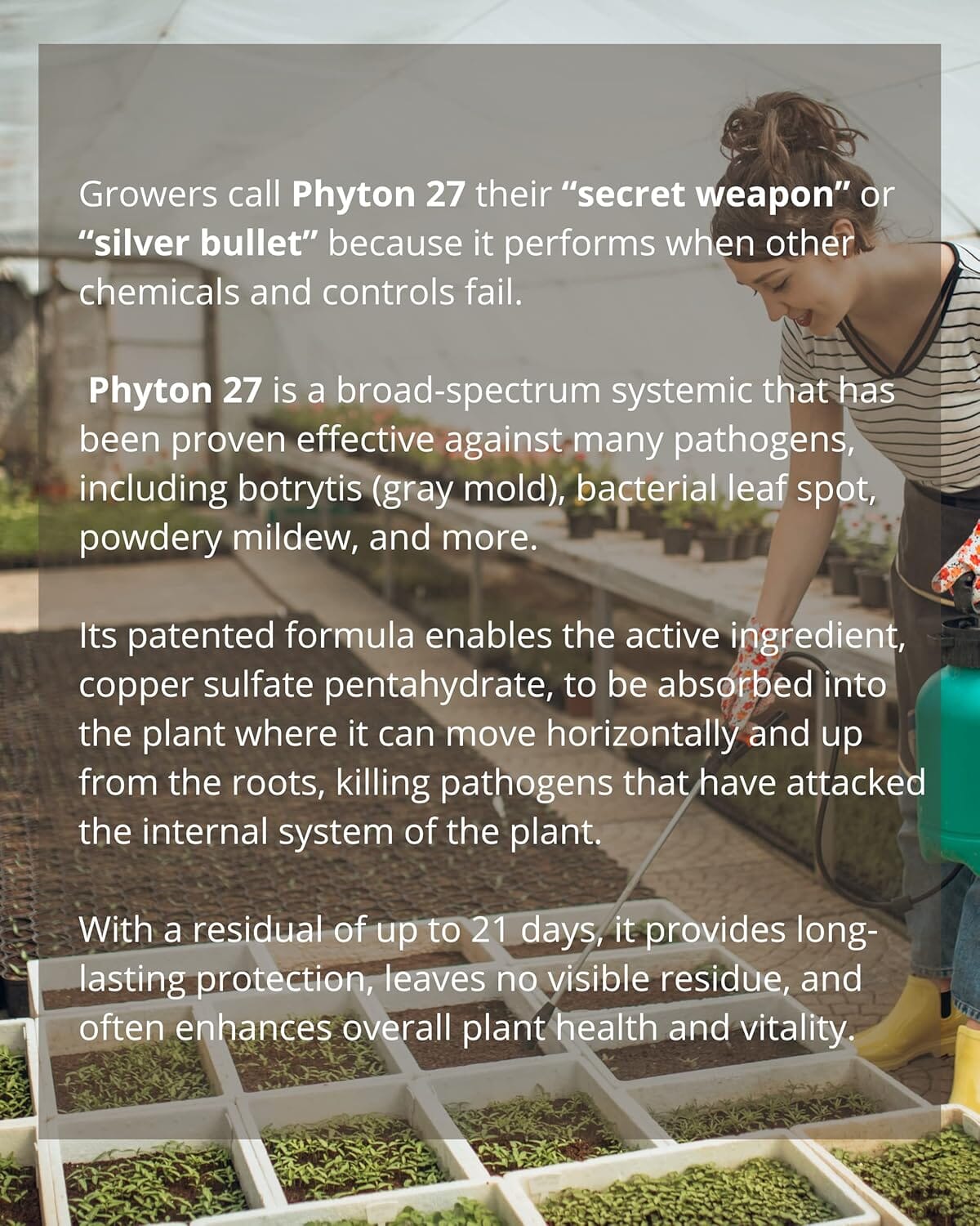 Python Fungicide Pest Control: Bactericide & Fungicide Systemic Phyton 27 2 Oz. – La ...