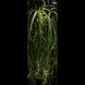 Product image thumbnail 4