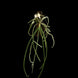 Product image thumbnail 5