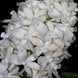 Product image thumbnail 3