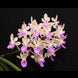 Product image thumbnail 2