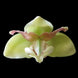 Product image thumbnail 2