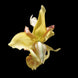 Product image thumbnail 3